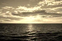 Afbeelding Sepia